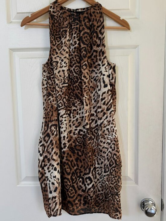 Zara Dresses & Skirts - Zara Leopard Cheetah Animal Print Sleeveless Mini Shift Dress Small
